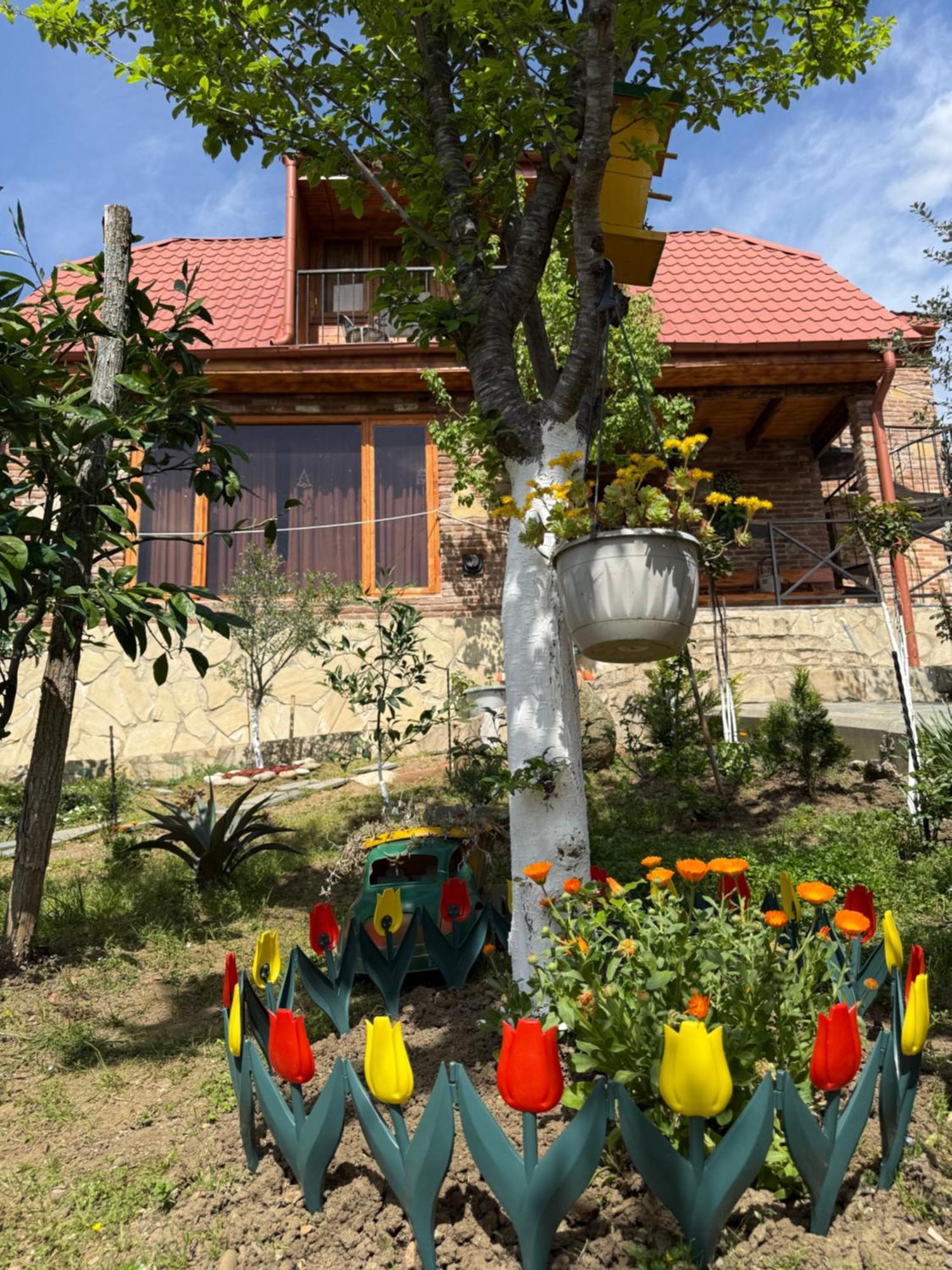 Вилла Sunshine House Кутаиси Экстерьер фото